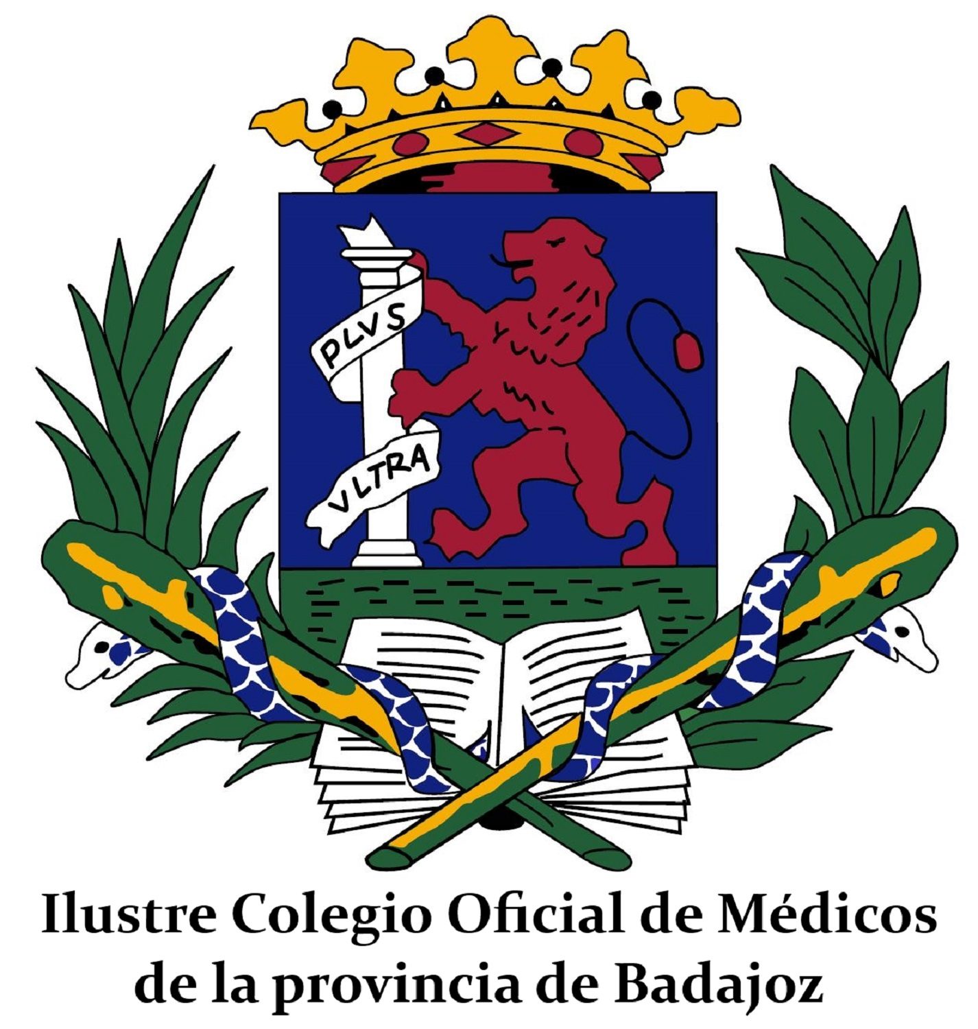 Documentación ICOMBA